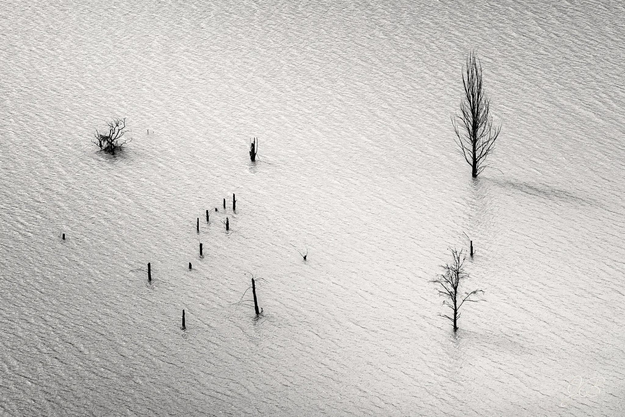 Memorias del Agua