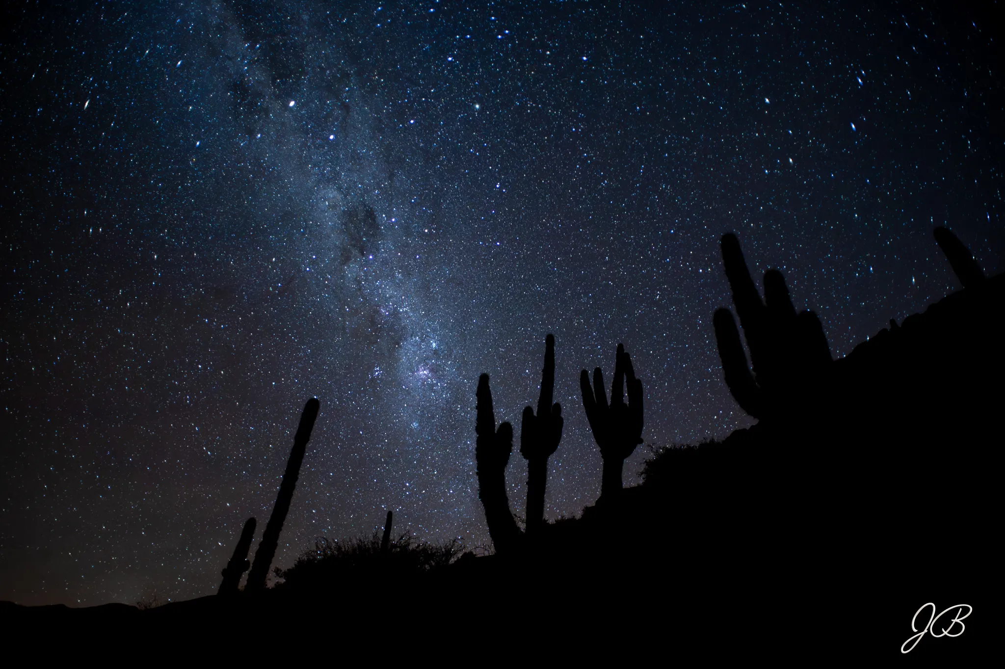 Visiones Nocturnas