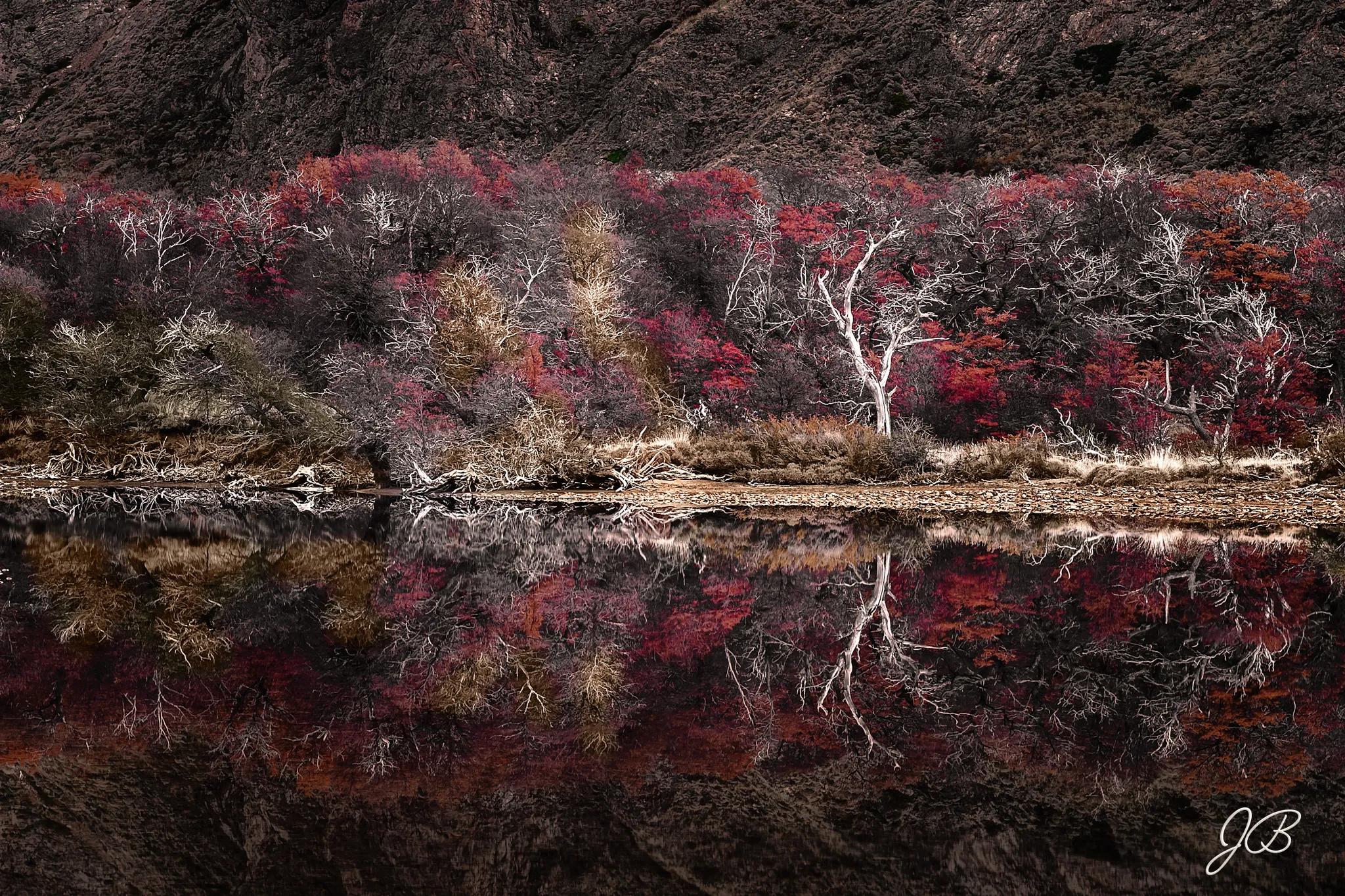 Ecos del Bosque