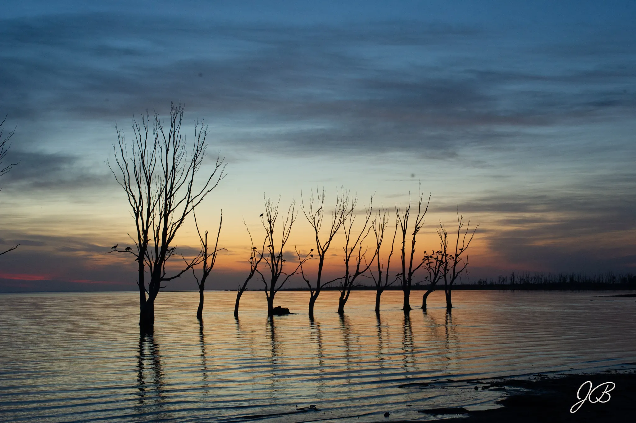 Ecos del Bosque